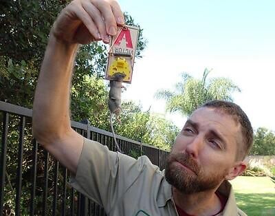 Saint Paul pest control